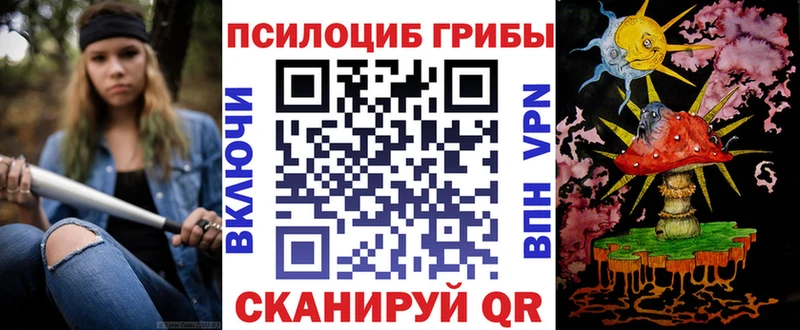 где можно купить наркотик  Ладушкин  Псилоцибиновые грибы MAGIC MUSHROOMS 
